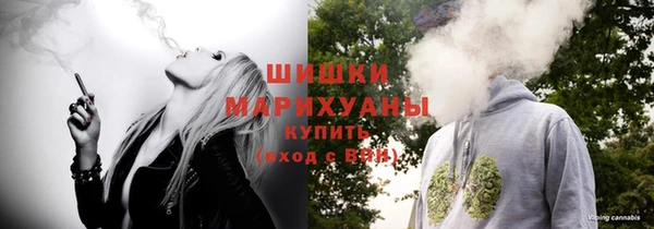 твердый Бородино