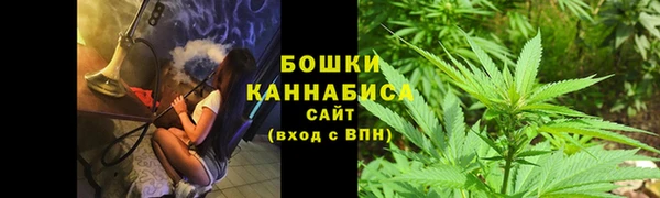 твердый Бородино
