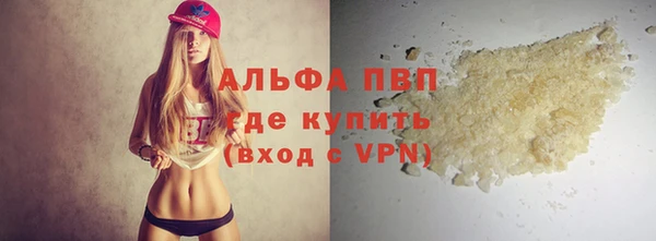 твердый Бородино