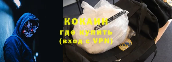 твердый Бородино