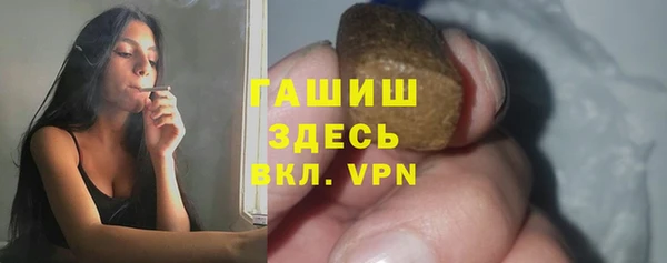 твердый Бородино