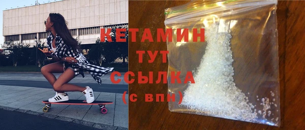 твердый Бородино