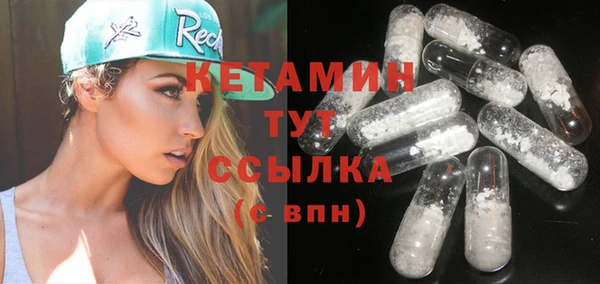 твердый Бородино