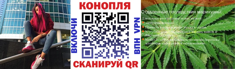 Конопля планчик  Купить закладки  Новосокольники 