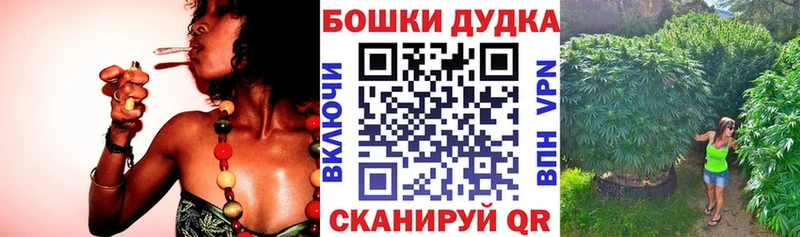 Каннабис план Новосокольники